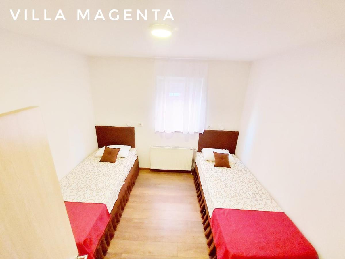 Magenta * Belgrado